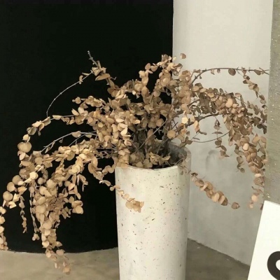 阜宁FurryQQ群介绍